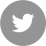 Twitter - Grey Circle